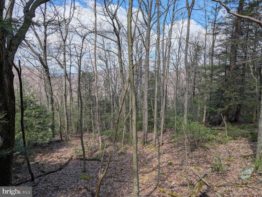 189 Ridge Run Road Claysburg, PA 16625 - Photo 11 of 11