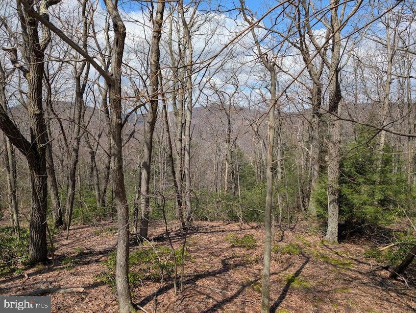 189 Ridge Run Road Claysburg, PA 16625 - Photo 10 of 11