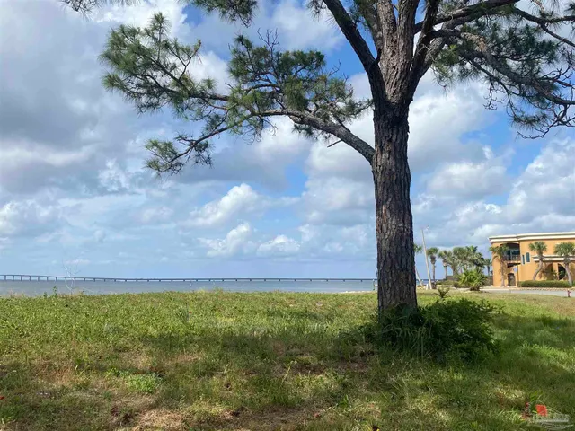 a view of a yard with a tree