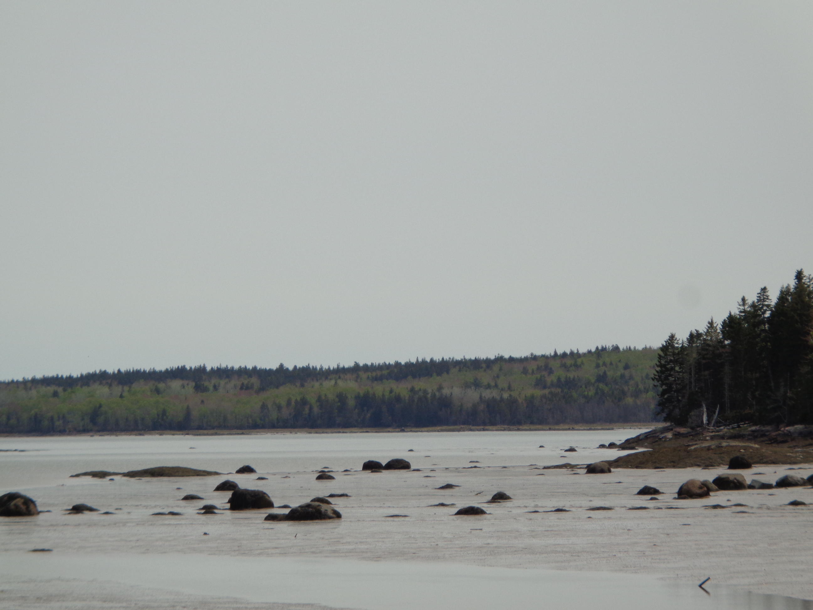Lot 14-5 Pineo Point Road Harrington, ME 04643 - Photo 7 of 34 DSC03099