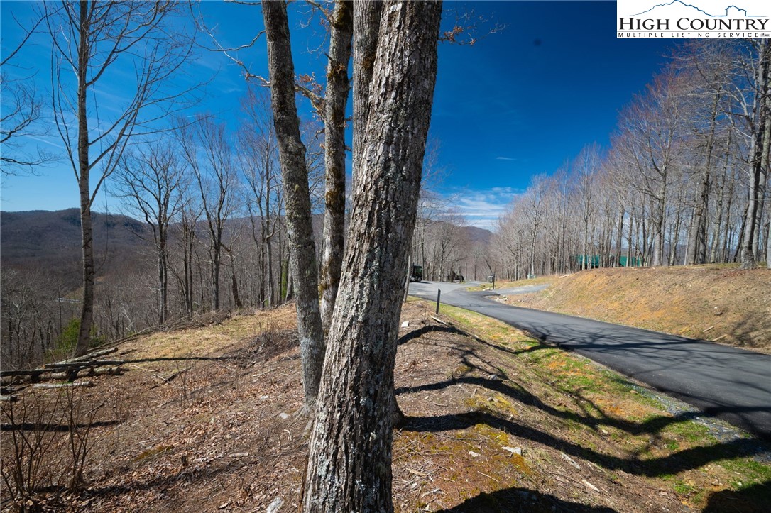 Lot 80 Bear Paw Road Elk Park, NC 28622 - Photo 14 of 19