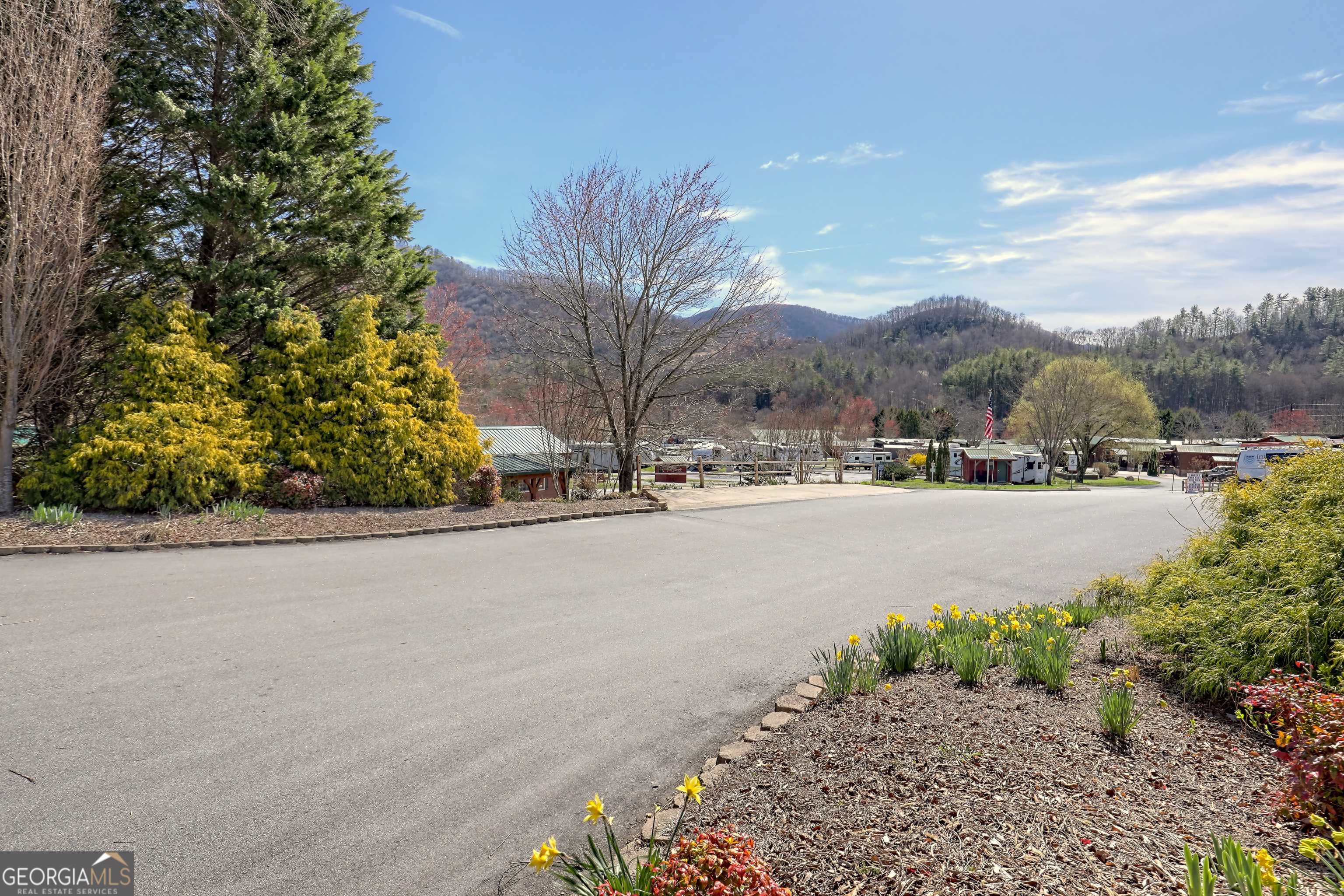 0 Holiday Rambler Lane Dillard, GA 30537 - Photo 34 of 34