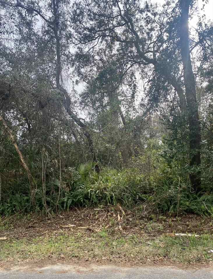 0 Martin Road St. Augustine, FL 32086 - Photo 1 of 1 a view of a forest
