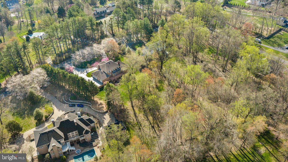 532 Walker Road Great Falls, VA 22066 - Photo 82 of 109 Serene suburban retreat with greenery.
