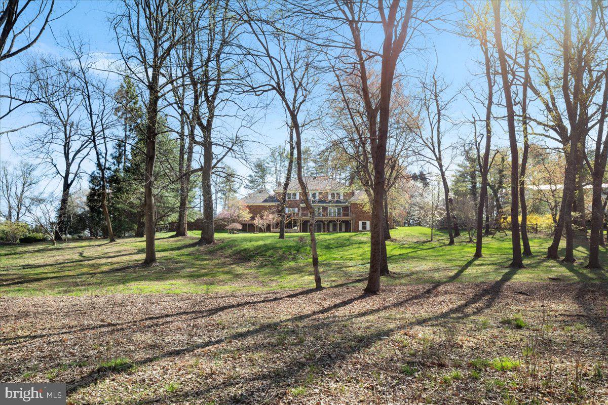 532 Walker Road Great Falls, VA 22066 - Photo 83 of 109