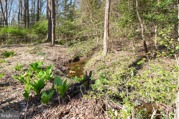 $2,399,000 | 532 Walker Road, Great Falls, VA 22066