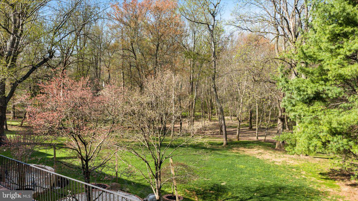 532 Walker Road Great Falls, VA 22066 - Photo 91 of 109