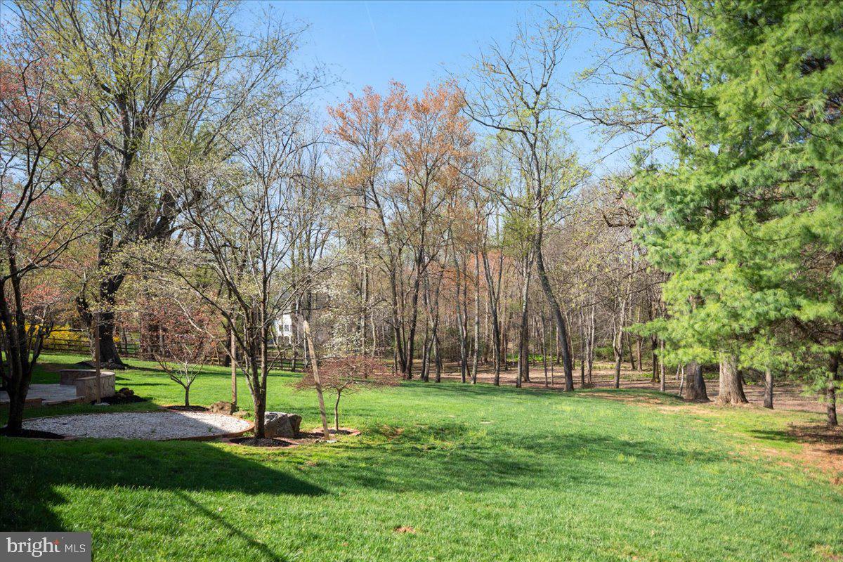 532 Walker Road Great Falls, VA 22066 - Photo 92 of 109