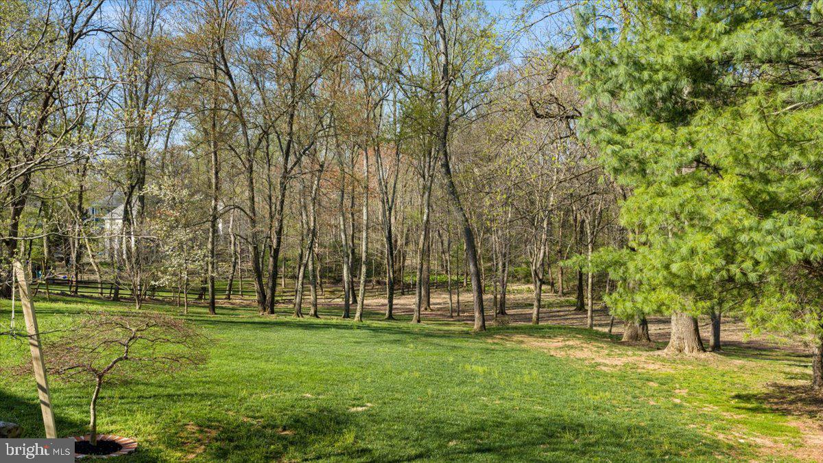 532 Walker Road Great Falls, VA 22066 - Photo 93 of 109