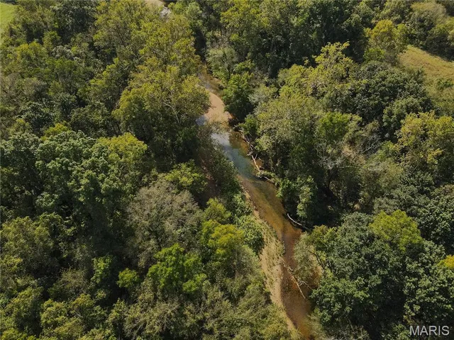 $389,400 | 2248 Wayne County 312, Patterson, MO 63956