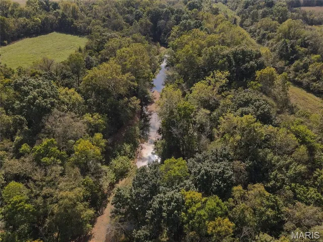 $389,400 | 2248 Wayne County 312, Patterson, MO 63956