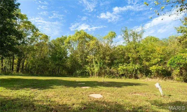 $389,400 | 2248 Wayne County 312, Patterson, MO 63956