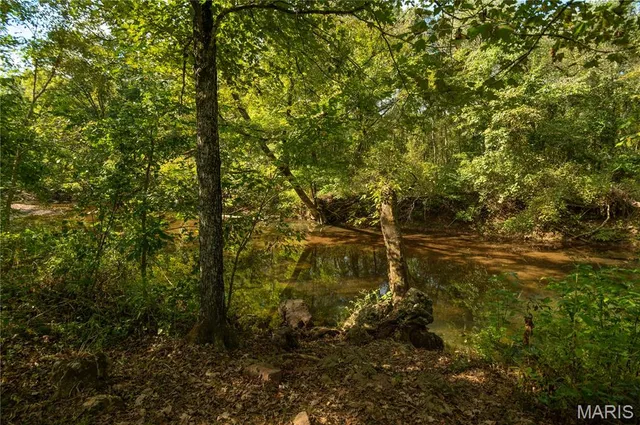 $389,400 | 2248 Wayne County 312, Patterson, MO 63956