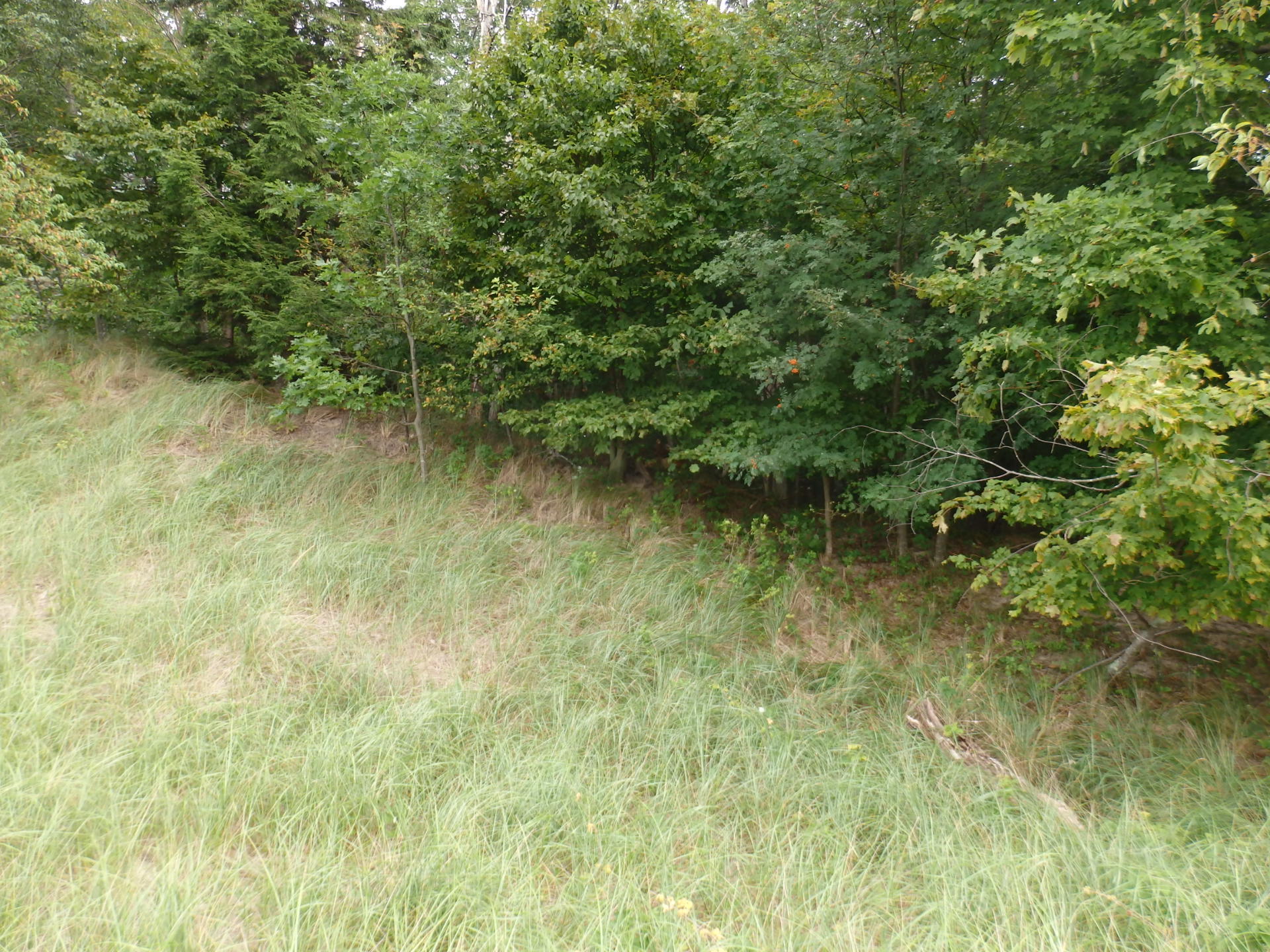 3900 Lakeshore Road Manistee, MI 49660 - Photo 8 of 10 P8210275