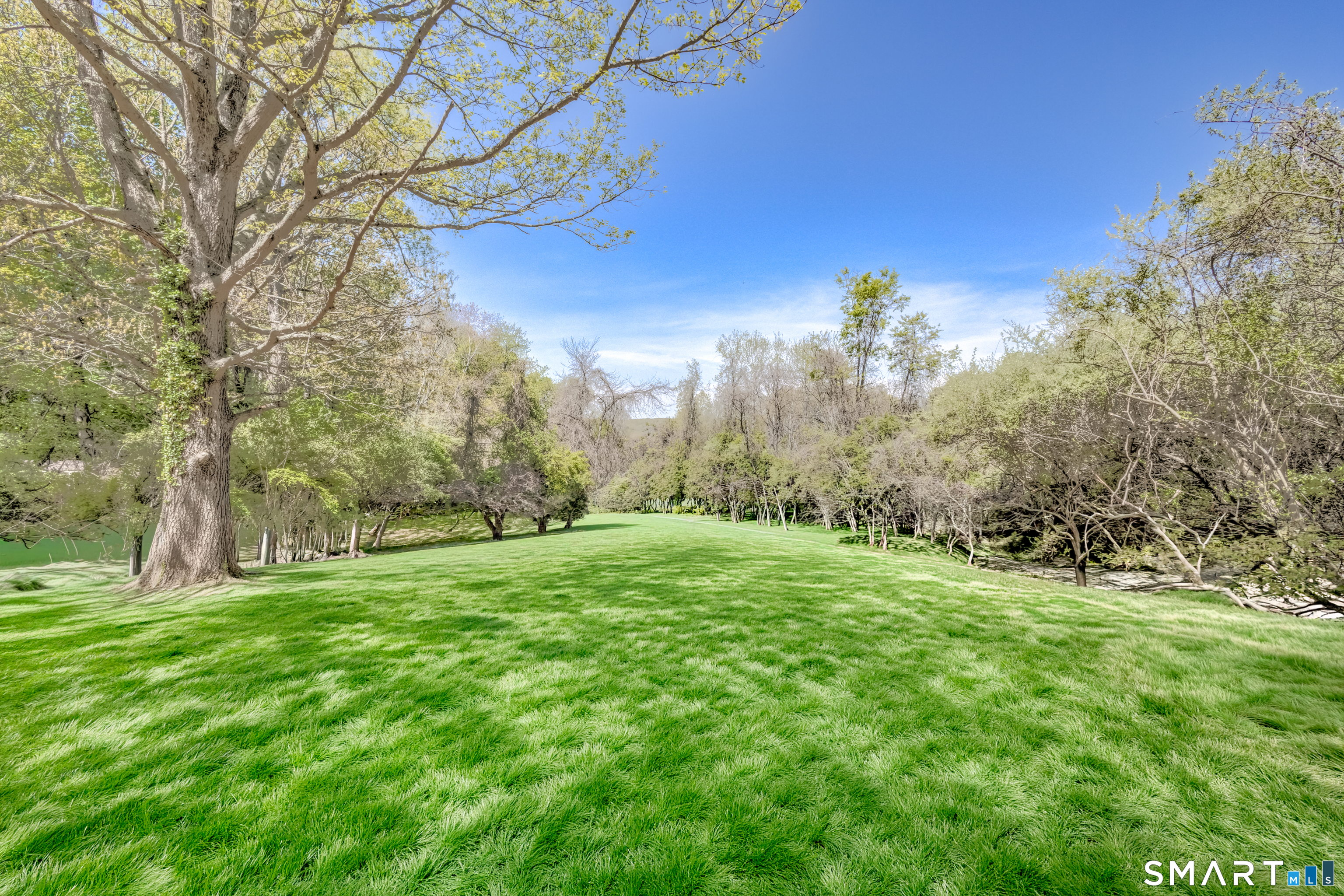 437 Middle Rd Turnpike Woodbury, CT 06798 - Photo 17 of 17 a view of a grassy field with trees in the background