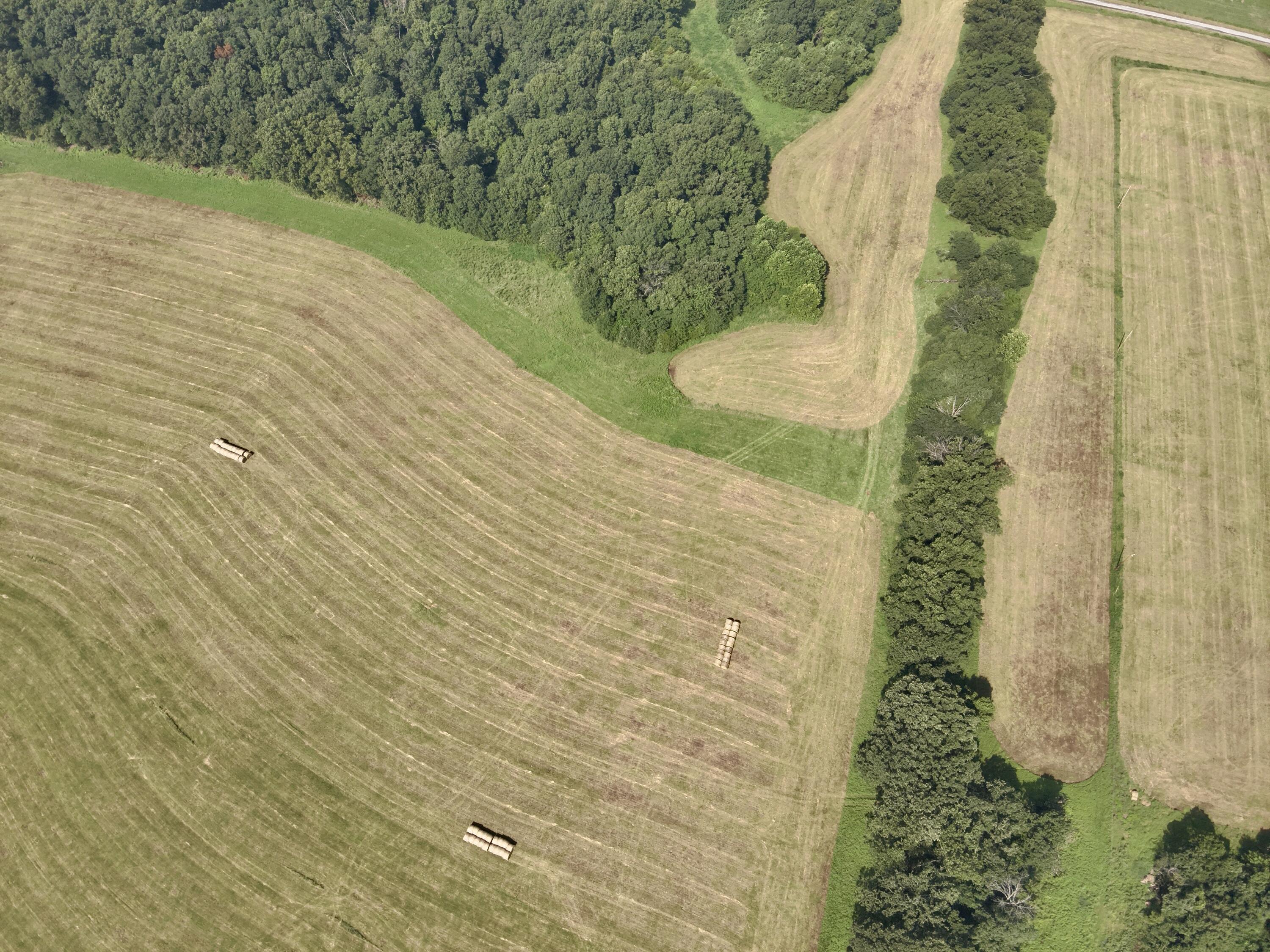 Lot 7 East 442nd Road Bolivar, MO 65613 - Photo 12 of 13 DJI_20260731122732_0009_V