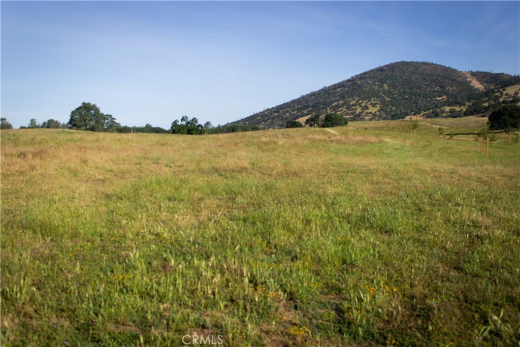 5015 Macready Way Mariposa, CA 95338 - Photo 14 of 47