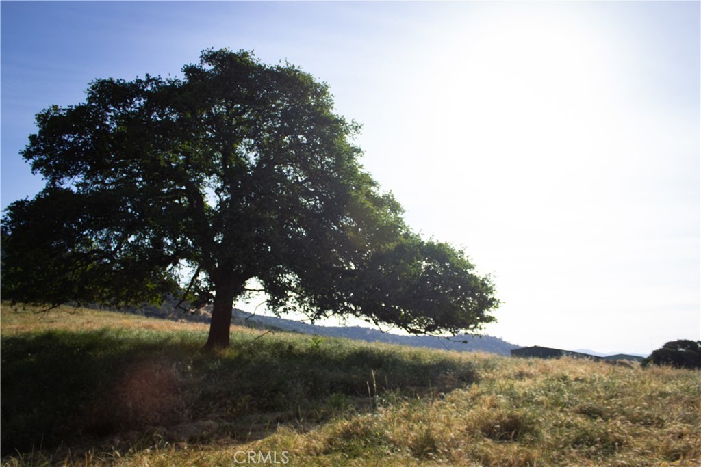 5015 Macready Way Mariposa, CA 95338 - Photo 16 of 47