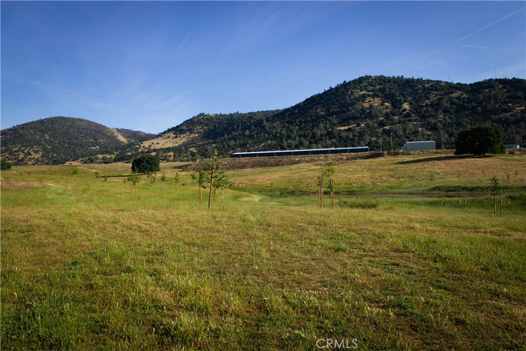 5015 Macready Way Mariposa, CA 95338 - Photo 17 of 47