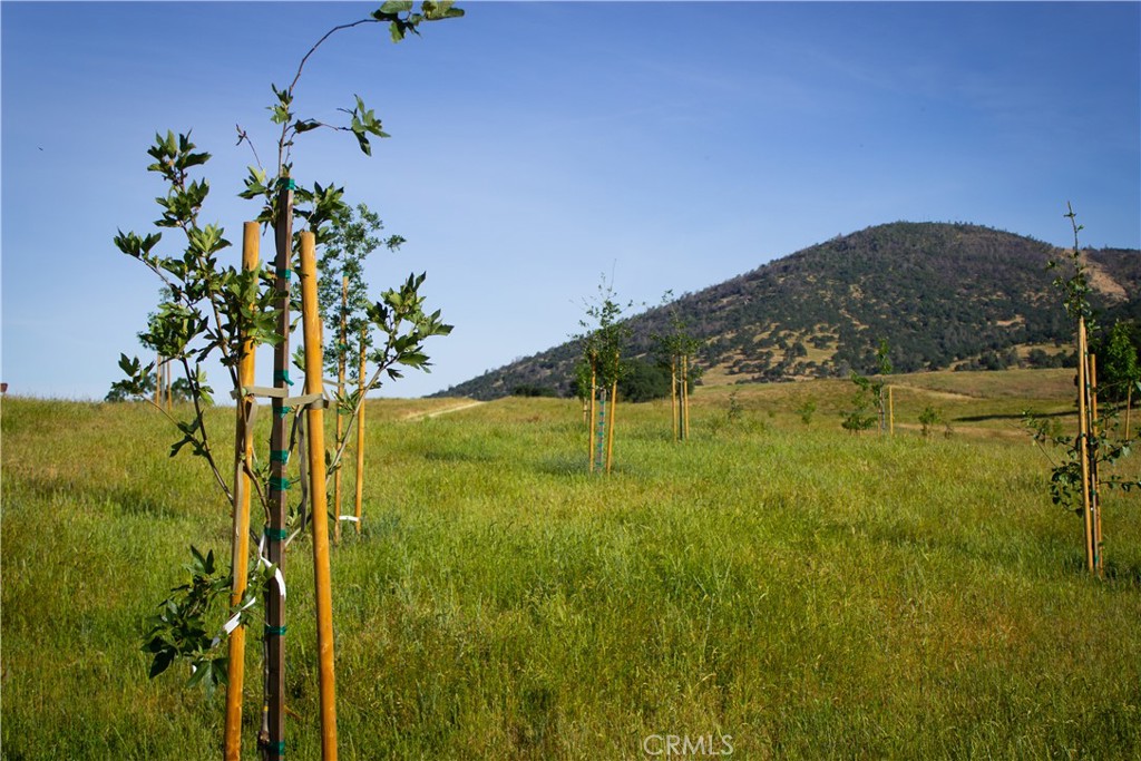 5015 Macready Way Mariposa, CA 95338 - Photo 19 of 47