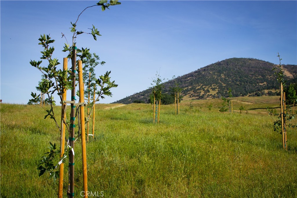 5015 Macready Way Mariposa, CA 95338 - Photo 39 of 47