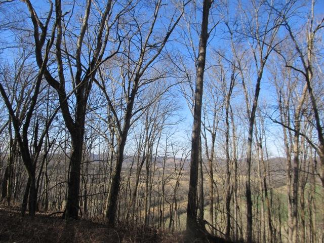 0 Smiths Road Carthage, TN 37030 - Photo 11 of 14 Gallery Image 11