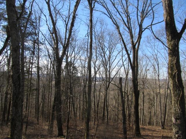 0 Smiths Road Carthage, TN 37030 - Photo 12 of 14 Gallery Image 12