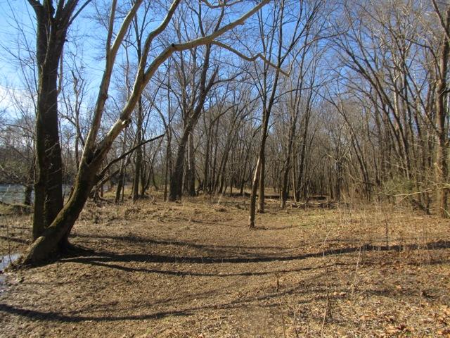 0 Smiths Road Carthage, TN 37030 - Photo 2 of 14 Gallery Image 2