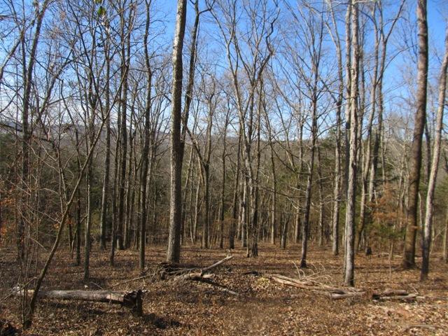 0 Smiths Road Carthage, TN 37030 - Photo 3 of 14 Gallery Image 3
