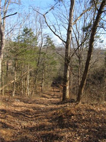 0 Smiths Road Carthage, TN 37030 - Photo 5 of 14 Gallery Image 5