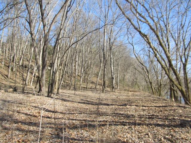 0 Smiths Road Carthage, TN 37030 - Photo 6 of 14 Gallery Image 6