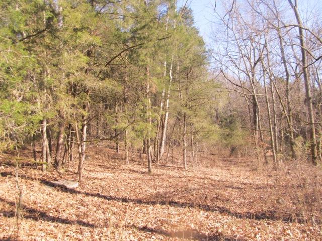 0 Smiths Road Carthage, TN 37030 - Photo 7 of 14 Gallery Image 7