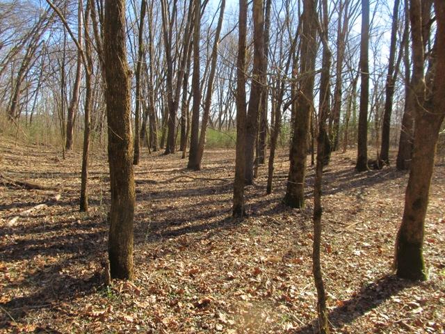 0 Smiths Road Carthage, TN 37030 - Photo 8 of 14 Gallery Image 8