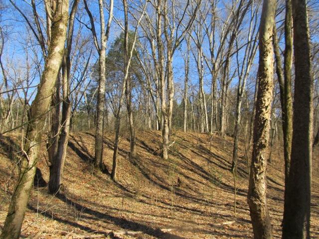 0 Smiths Road Carthage, TN 37030 - Photo 10 of 14 Gallery Image 10