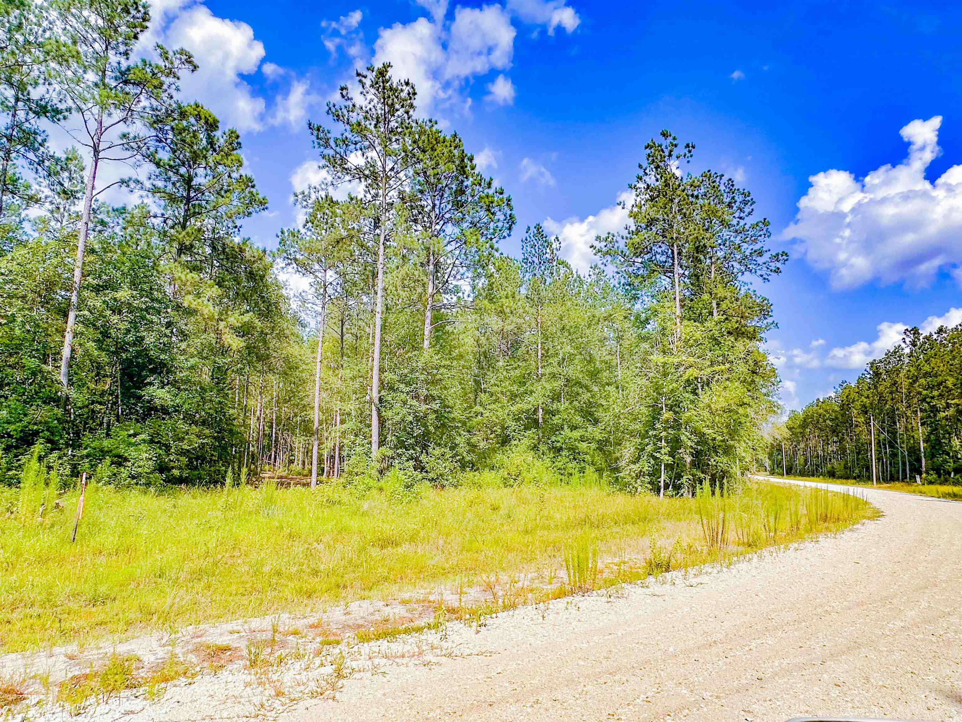 9010 Carter Ranch Road Kountze, TX 77625 - Photo 8 of 8