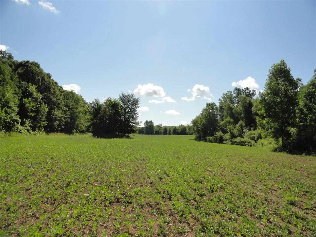 9267 Morrish Road Swartz Creek, MI 48473 - Photo 1 of 5