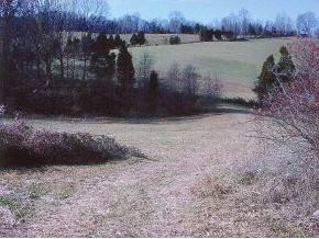 0 Devault Bridge Road, Unit 12 Piney Flats, TN 37686 - Photo 1 of 1 Photo 1