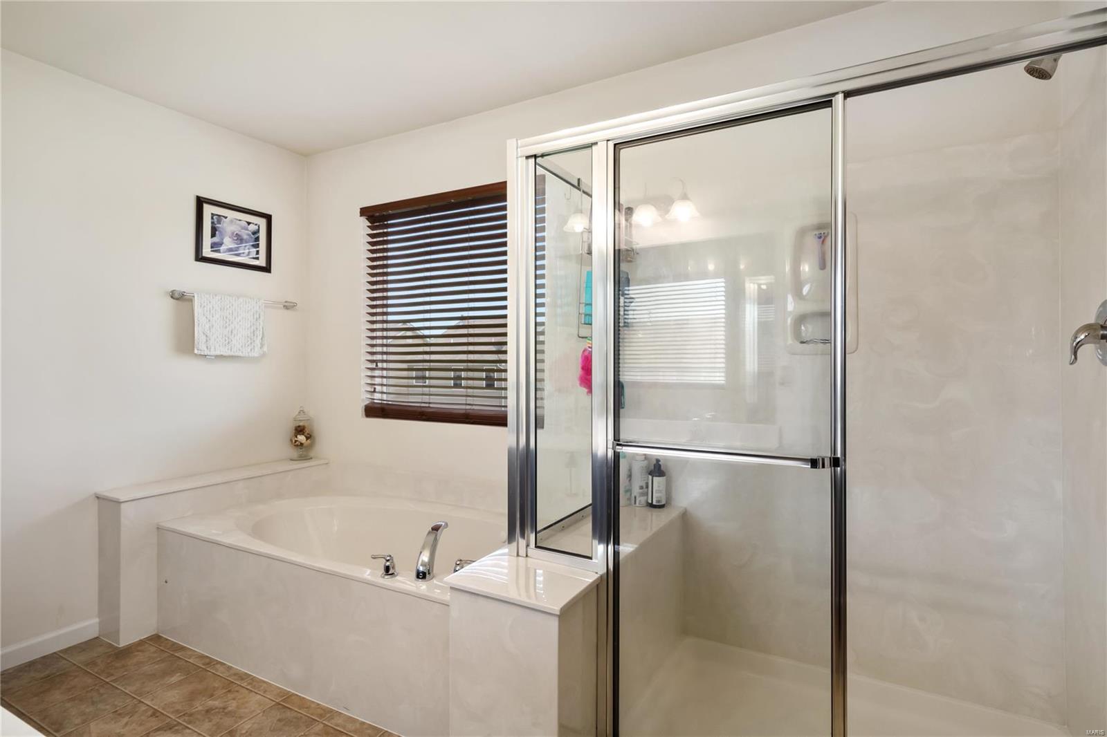 420 Spring Trace O'Fallon, MO 63368 - Photo 22 of 35