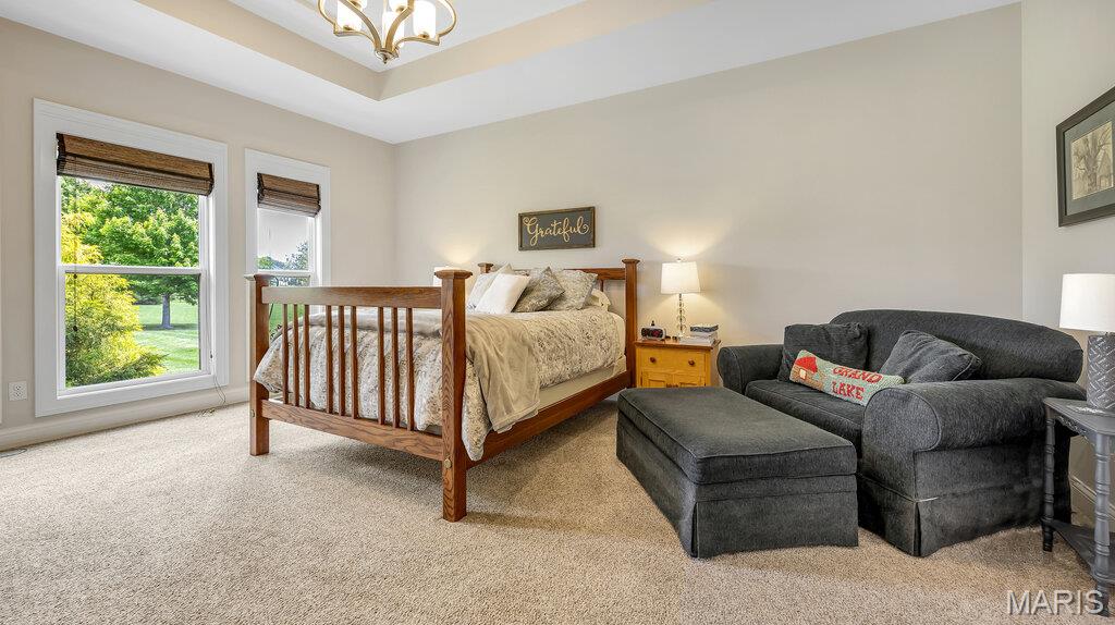 3904 Stone Hollow Lane Edwardsville, IL 62025 - Photo 21 of 71