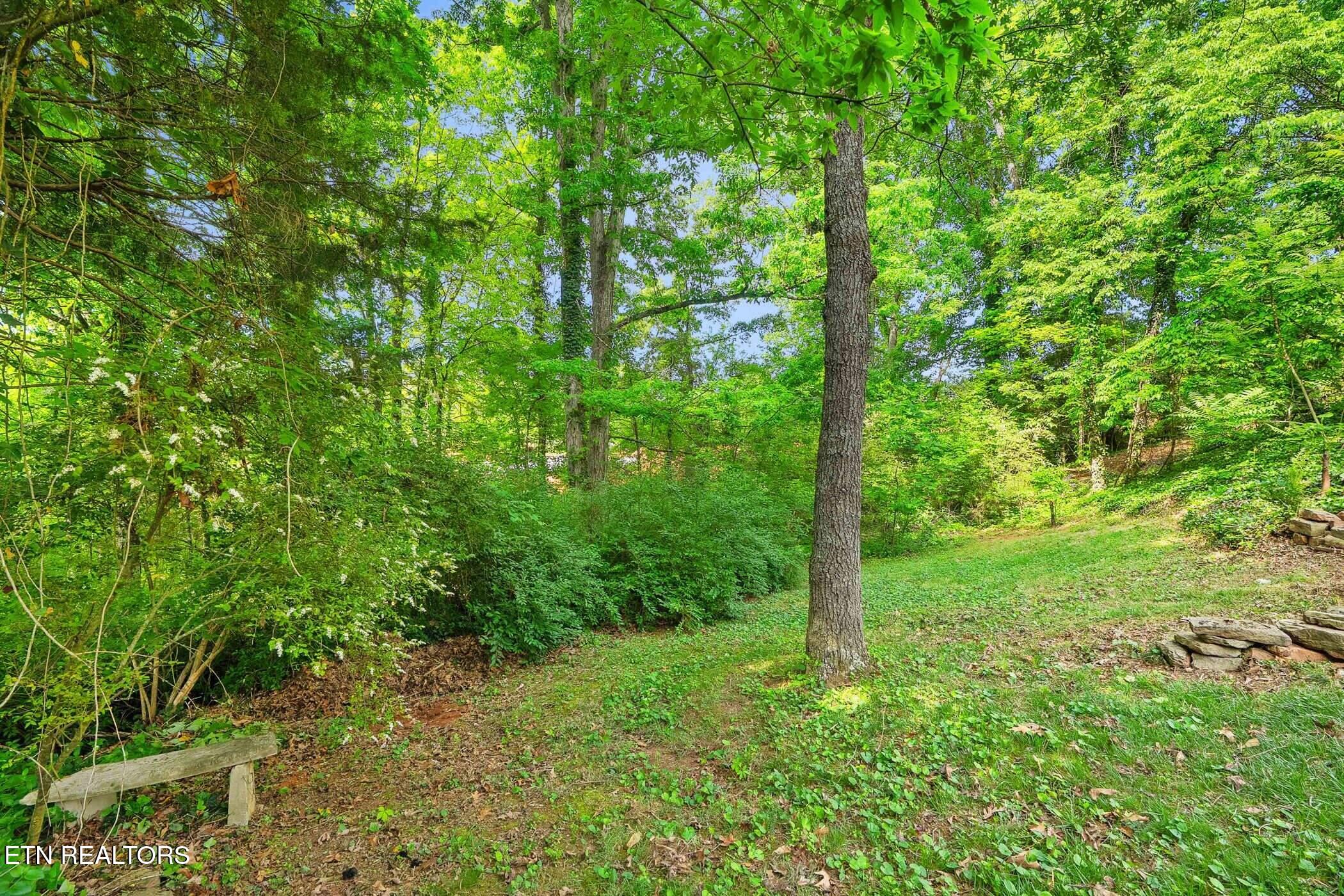 12869 Lebel Road Knoxville, TN 37934 - Photo 51 of 52 dsc02638