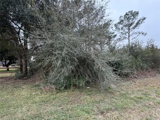 $975,000 | 8007 Farm To Market 1960, Humble, TX 77346