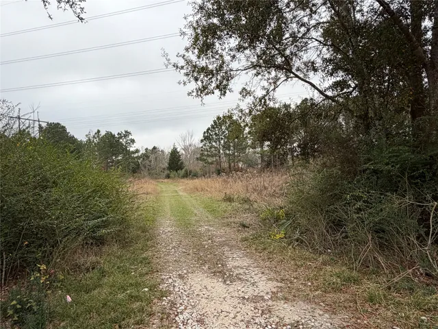 a view of a field with trees in the background