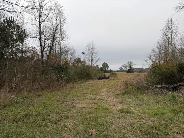 a view of a dry field with trees in the background