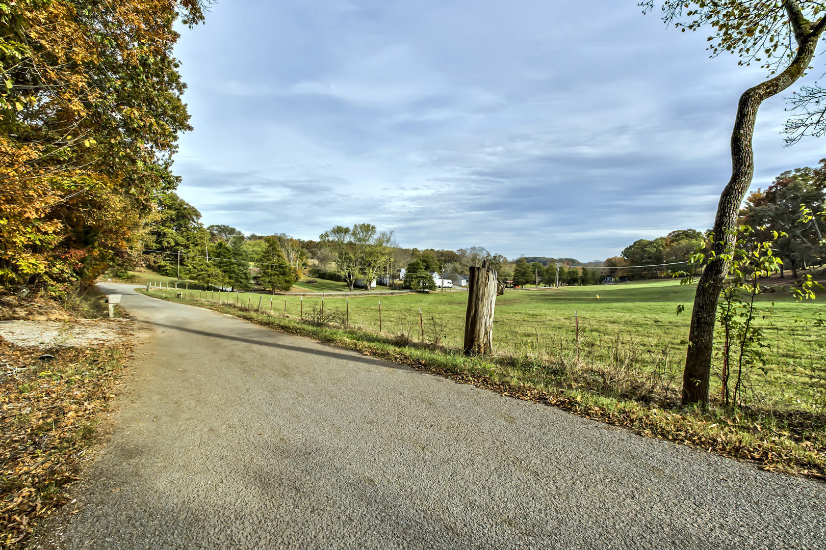 Lot 2 Reed Drive Powell, TN 37849 - Photo 3 of 10 Lot 2