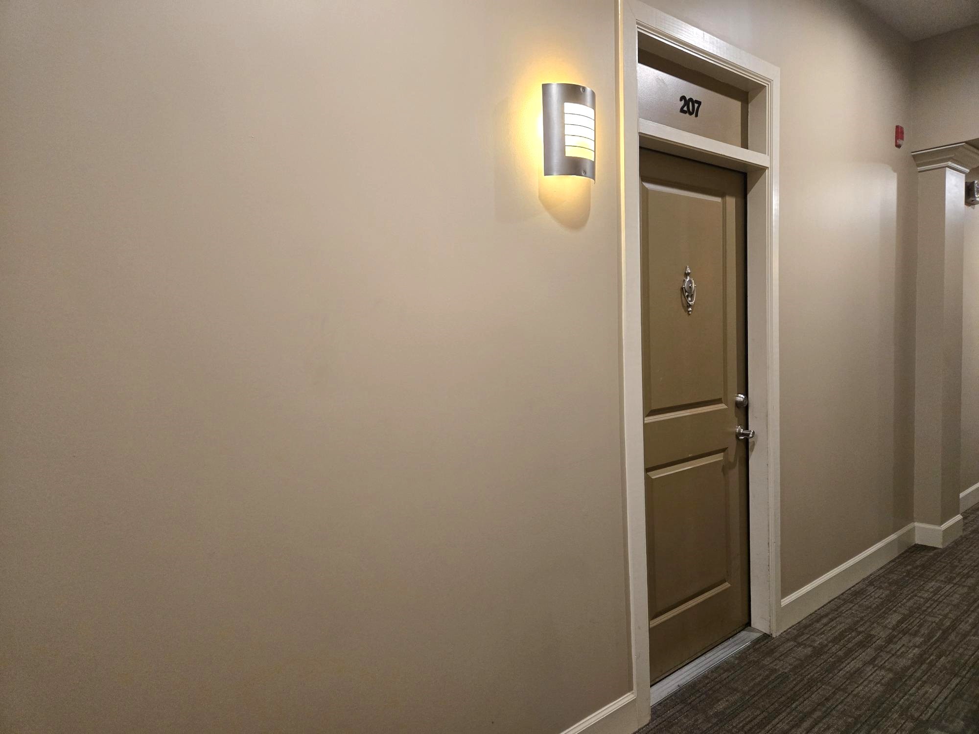 1900 Genesee Street, Unit 207 Houston, TX 77006 - Photo 40 of 50 Stylish front door.