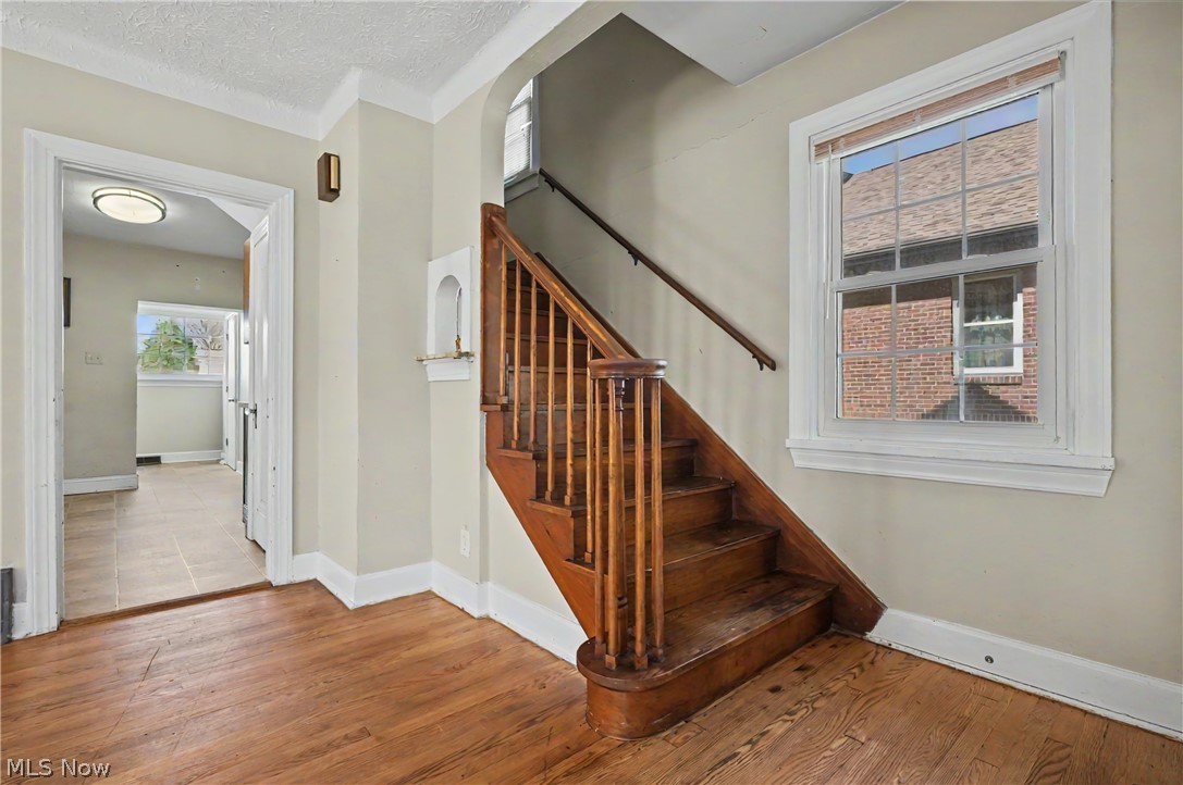 944 Canfield Road Youngstown, OH 44511 - Photo 4 of 20 Gallery Image 4