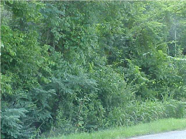 0 Moccasin Bend Road Chattanooga, TN 37405 - Photo 4 of 5 Additional Photo