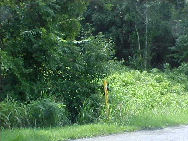 0 Moccasin Bend Road Chattanooga, TN 37405 - Photo 5 of 5 Additional Photo