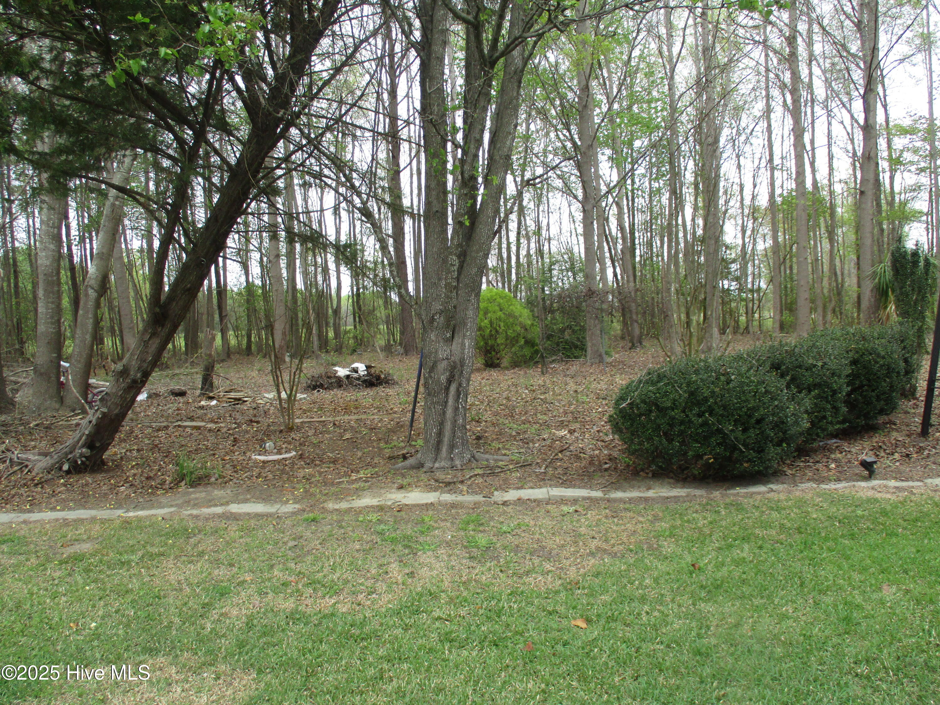 3550 Grainger Station Road Grifton, NC 28530 - Photo 9 of 58 IMG_1228