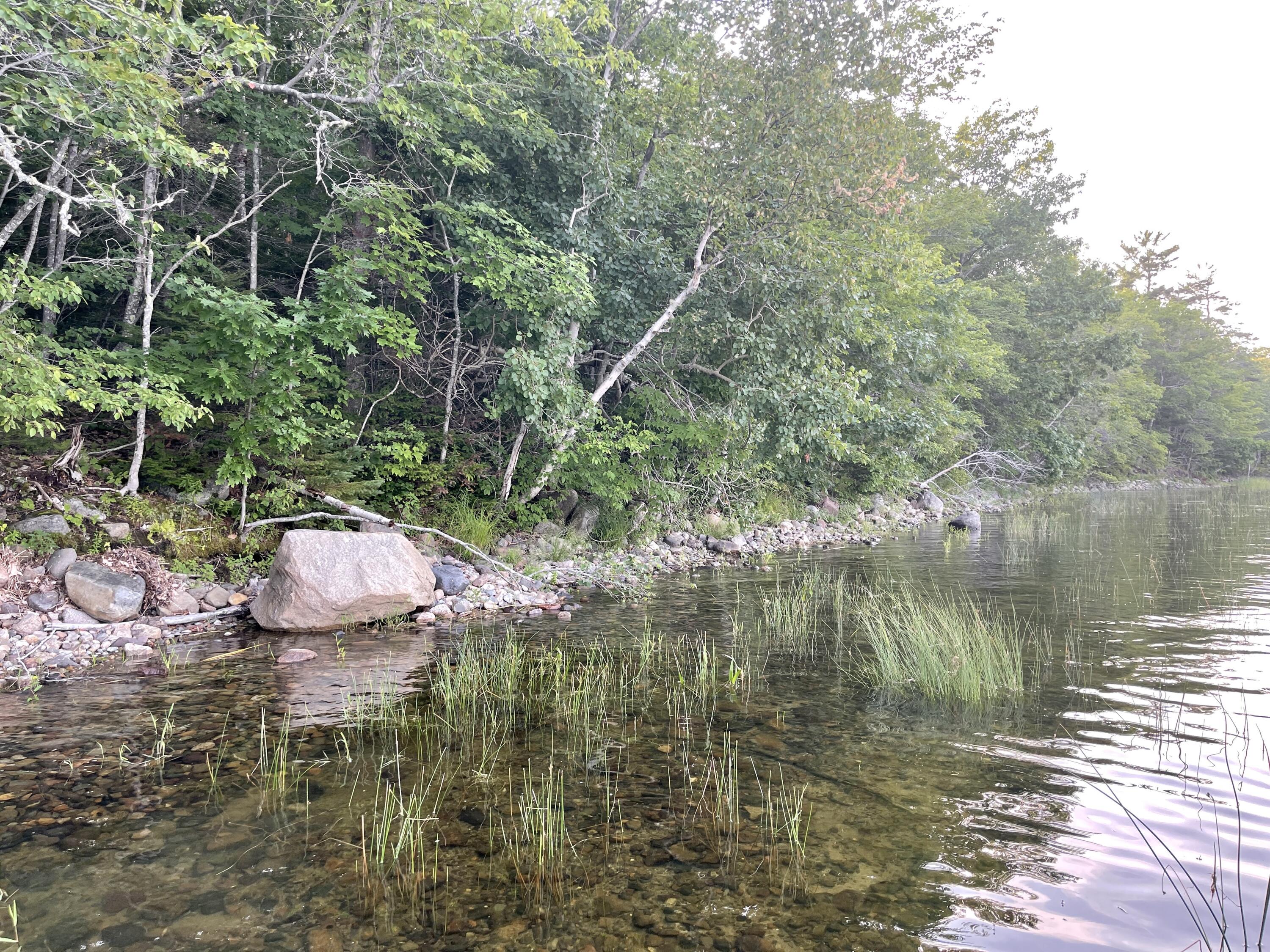 0 Ridge Road Robbinston, ME 04671 - Photo 29 of 35 IMG_7678